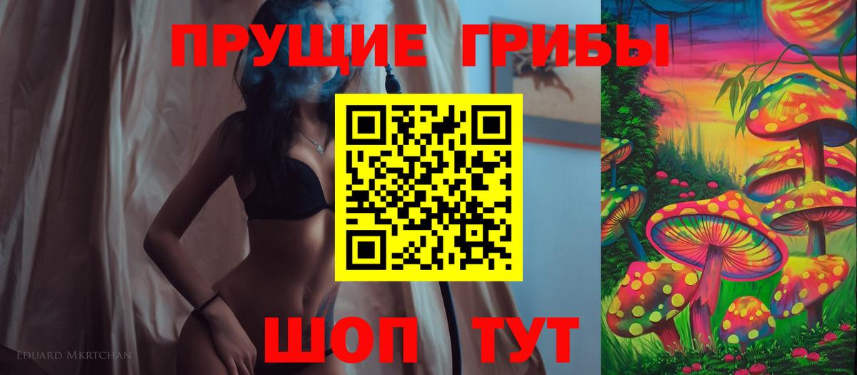 Псилоцибиновые грибы мицелий Арсеньев